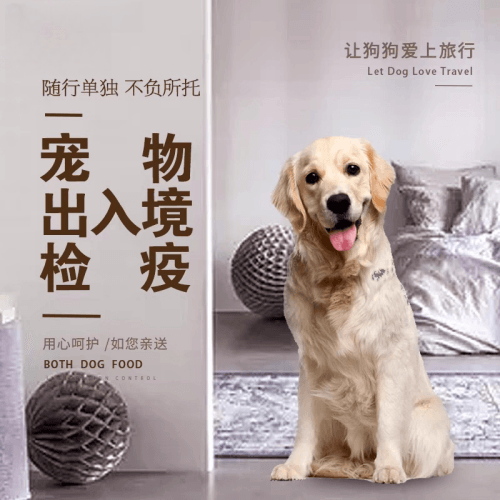 山西省宠物托运到哥伦比亚猫狗宠物入境规定和
