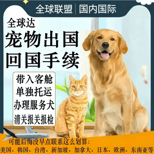山西省宠物托运到柬埔寨宠物入境规定和要求