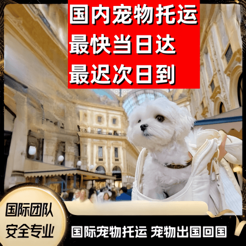 山西省到澳大利亚（澳洲）宠物入境规定和要求