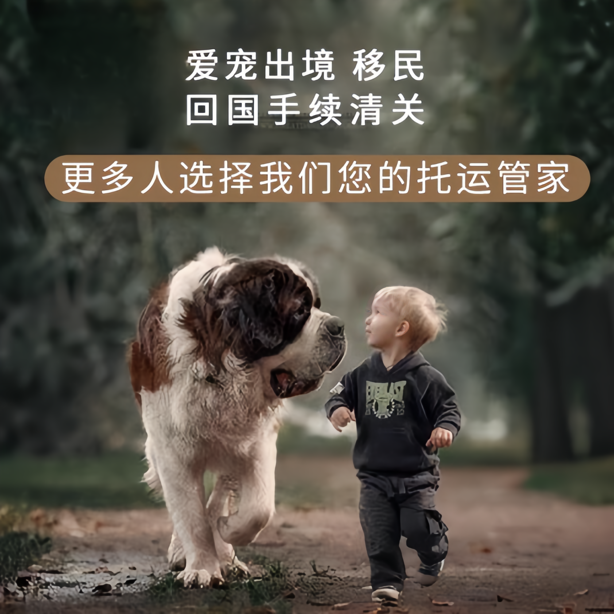 满财山西省宠物全球达宠物托运在遵守入境目的地政策的条件