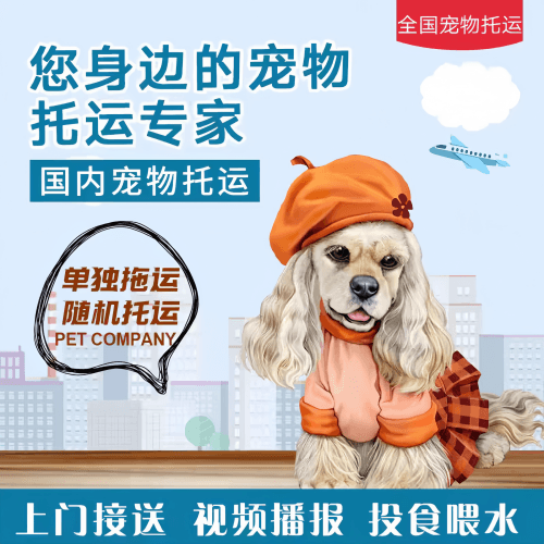 满财山西省宠物全球达宠物托运作为专业的宠物运输代理机构